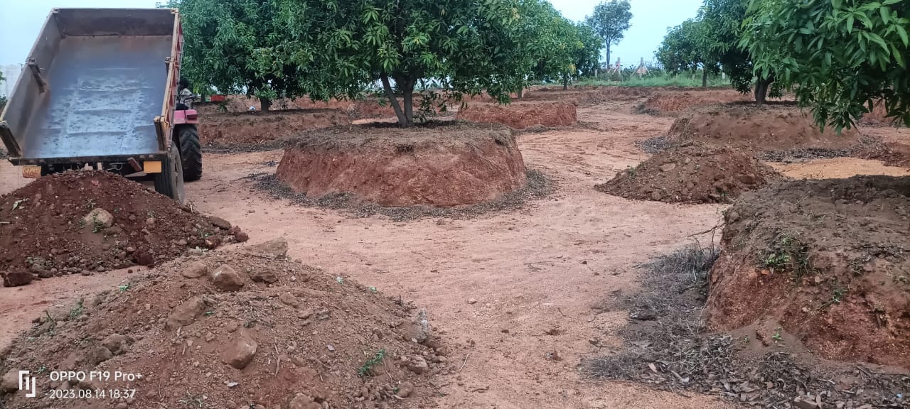 Crane Operations in Addakal